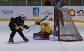 Турнир по хоккею