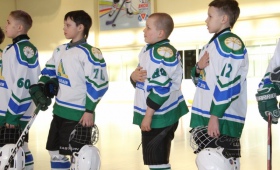 Детская хоккейная лига